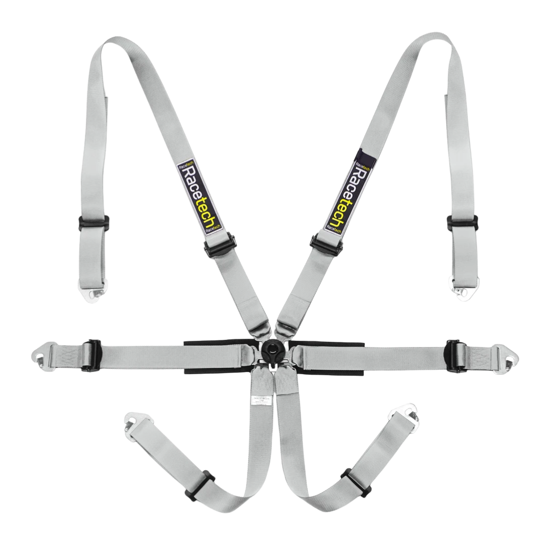 Racetech Pro International 6-Point Harness (Aluminum Adjusters)