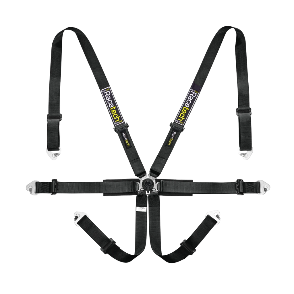 Racetech Pro International 6-Point Harness (Steel Adjusters)
