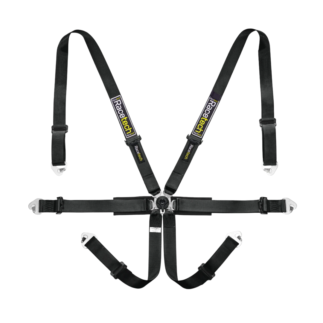 Racetech Pro International 6-Point Harness (Steel Adjusters)