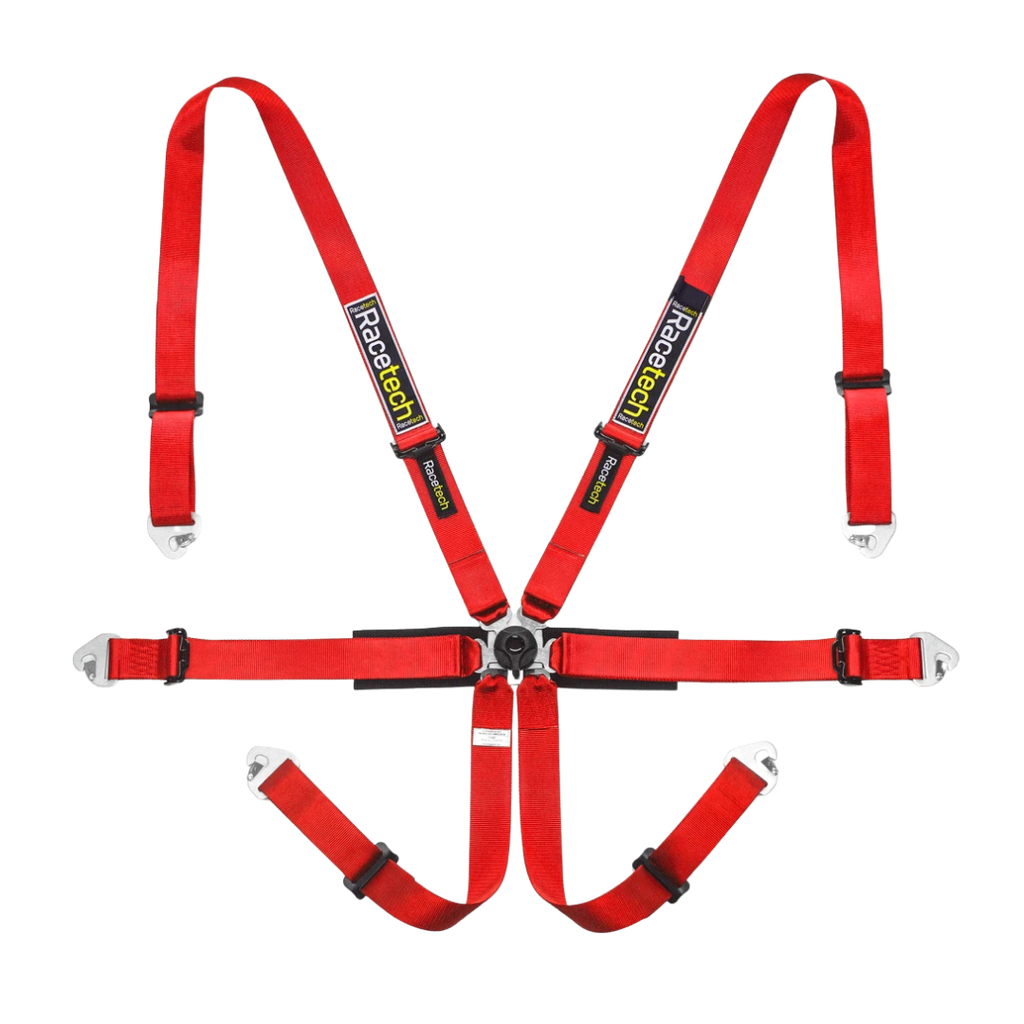 Racetech Pro International 6-Point Harness (Steel Adjusters)