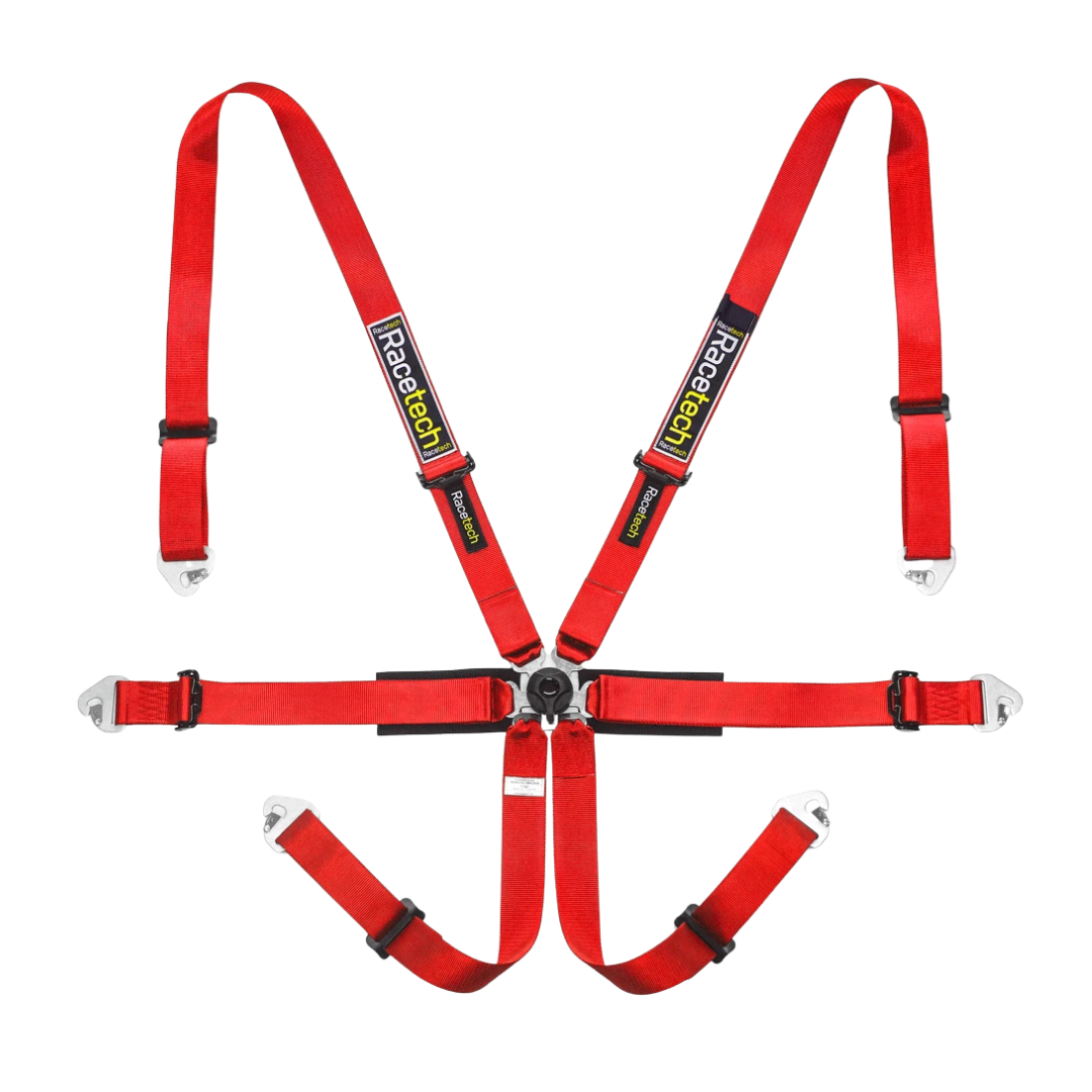 Racetech Pro International 6-Point Harness (Steel Adjusters)