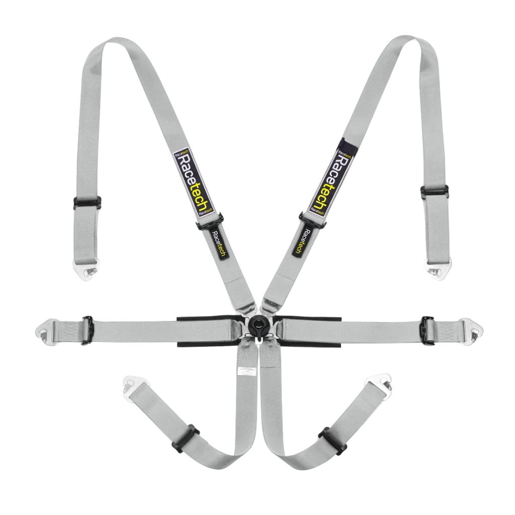 Racetech Pro International 6-Point Harness (Steel Adjusters)