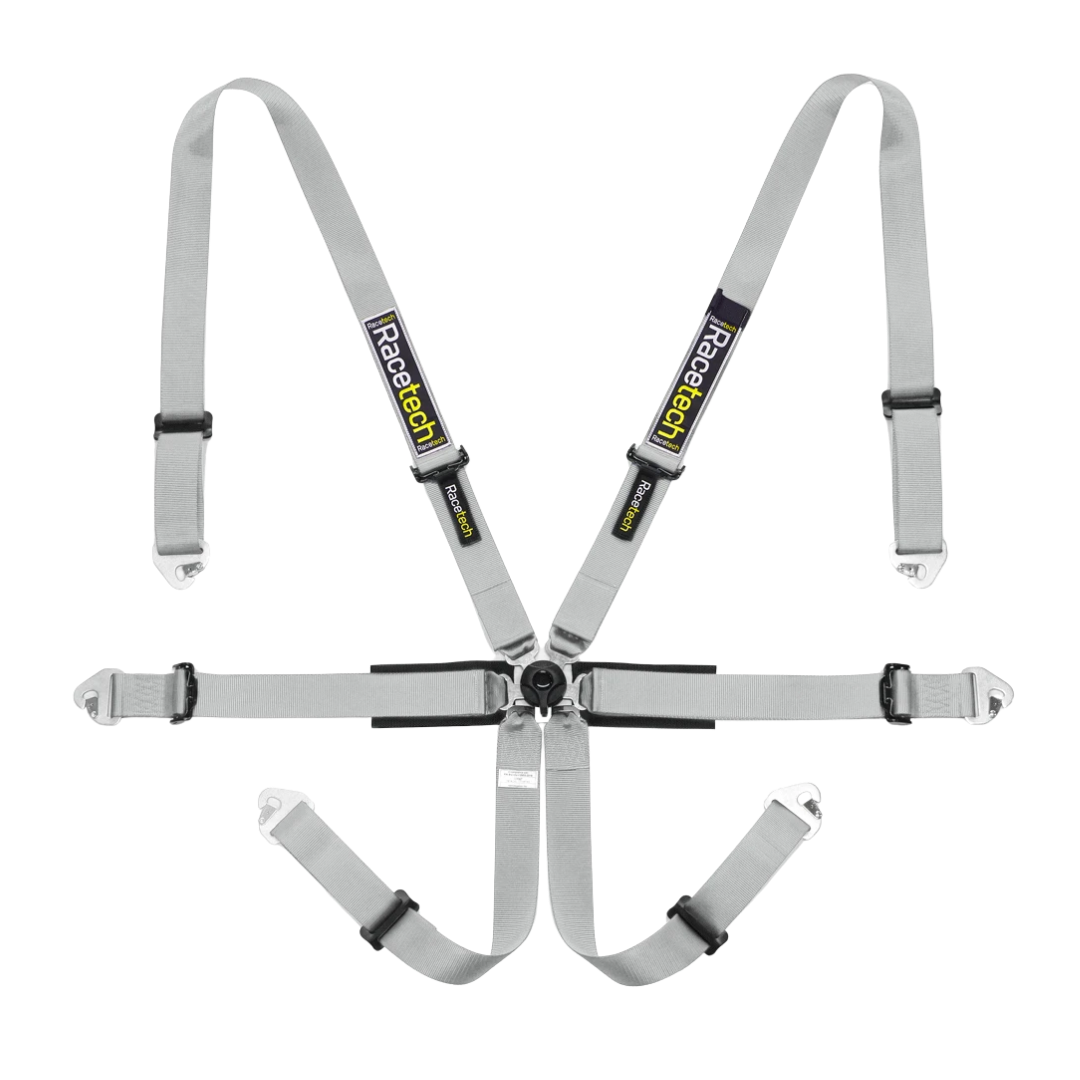 Racetech Pro International 6-Point Harness (Steel Adjusters)